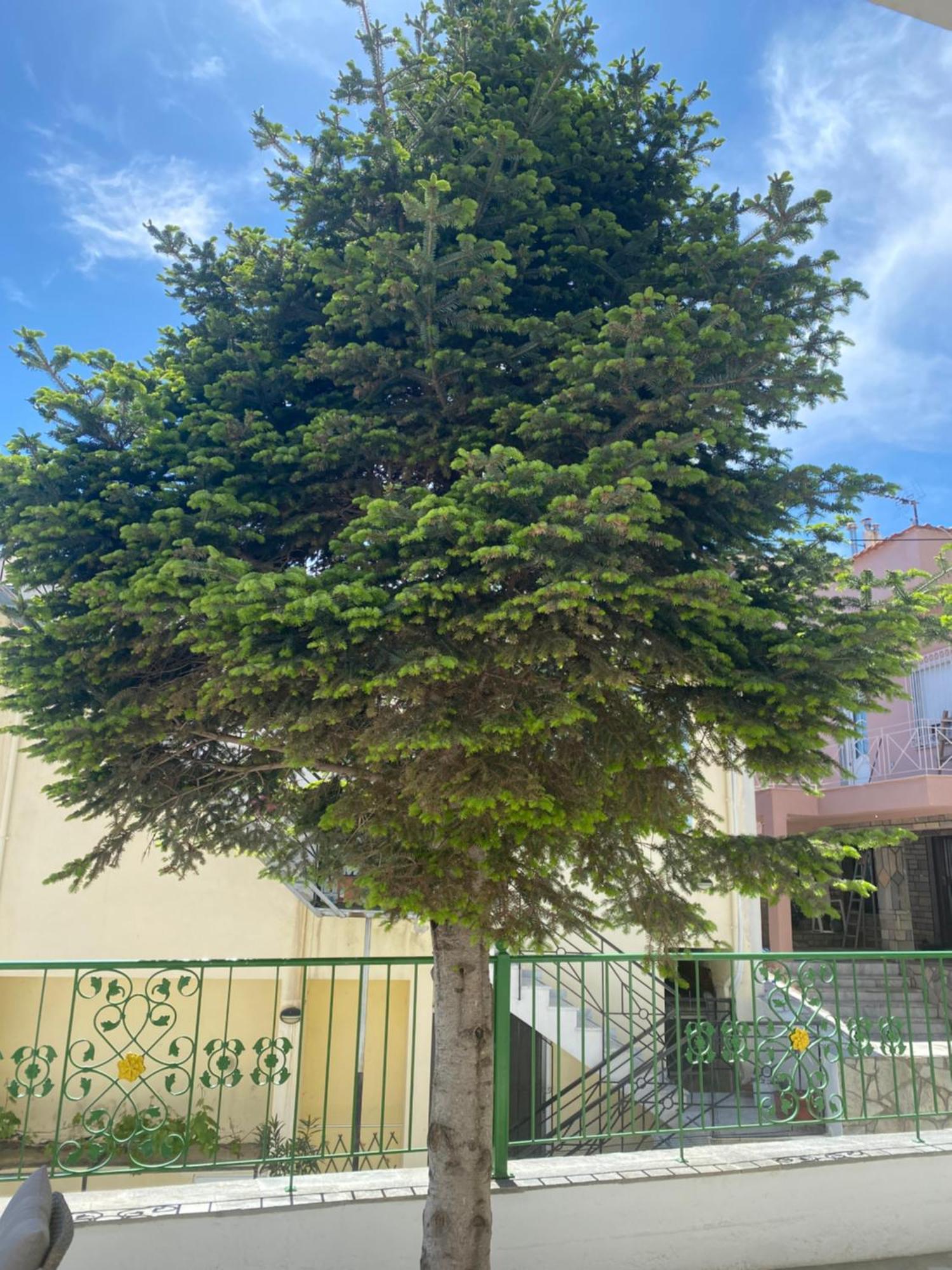 Small Garden Studio 卡瓦拉 外观 照片